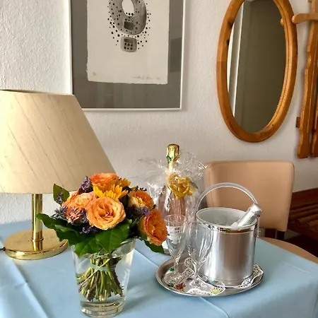 Sommerhaus Garni Am Bodman-Ludwigshafen